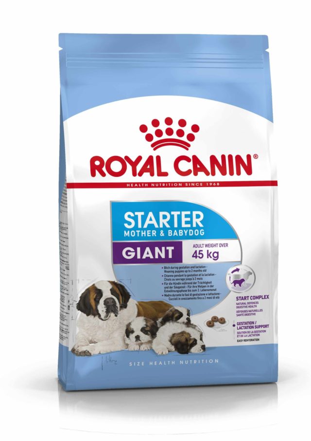 ROYAL CANIN MAXI STARTER MOTHER & BABY 15 Kg