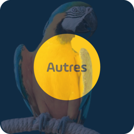 Autres