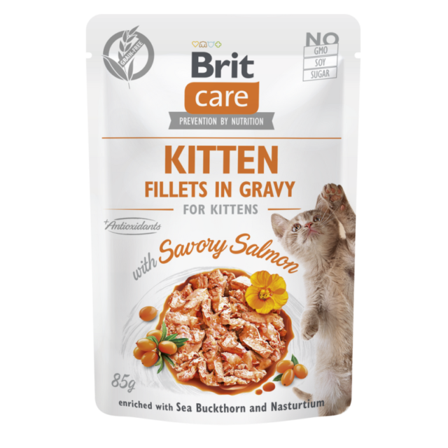 Pochon POCHON Brit care chaton filet saumon en sauce 85G