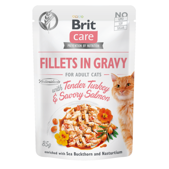 Brit POCHON care chat filet dinde et saumon en sauce 85G